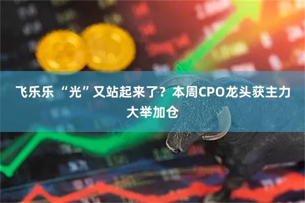 飞乐乐 “光”又站起来了?本周CPO龙头获主力大举加仓