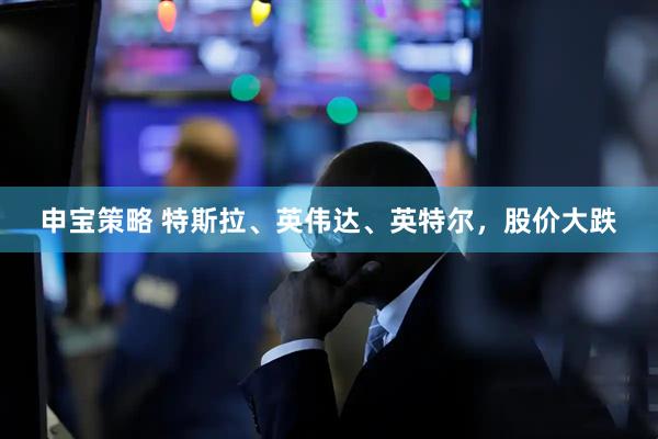 申宝策略 特斯拉、英伟达、英特尔,股价大跌