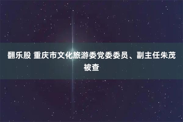 翻乐股 重庆市文化旅游委党委委员、副主任朱茂被查